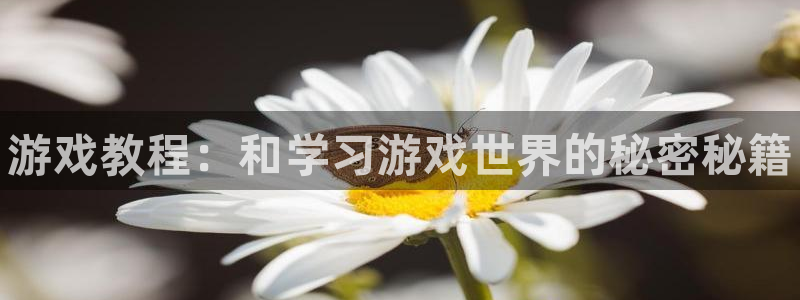 欧博娱乐平台官网客服电话：游戏教程：和学习游戏世界的秘密秘籍