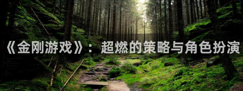 欧博娱乐集团：《金刚游戏》：超燃的策略与角色扮演