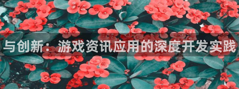 欧博娱乐官方登录网址：与创新：游戏资讯应用的深度开发实践