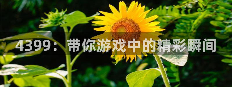 欧博娱乐官方注册登录：4399：带你游戏中的精彩瞬间