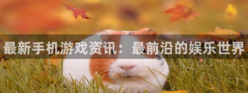 欧博娱乐4开户：最新手机游戏资讯：最前沿的娱乐世界