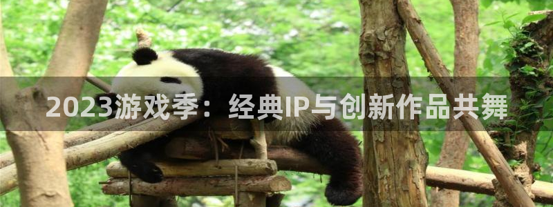 欧博娱乐官网登录：2023游戏季：经典IP与创新作品共舞